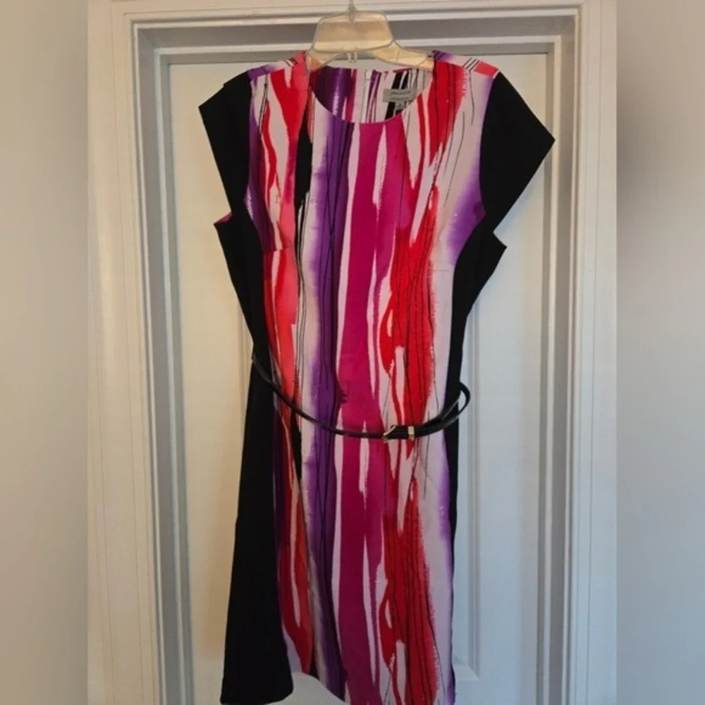 John Miller Collection Multicolor Belted Sheath Dress Size 10‎ Red Pink Purple